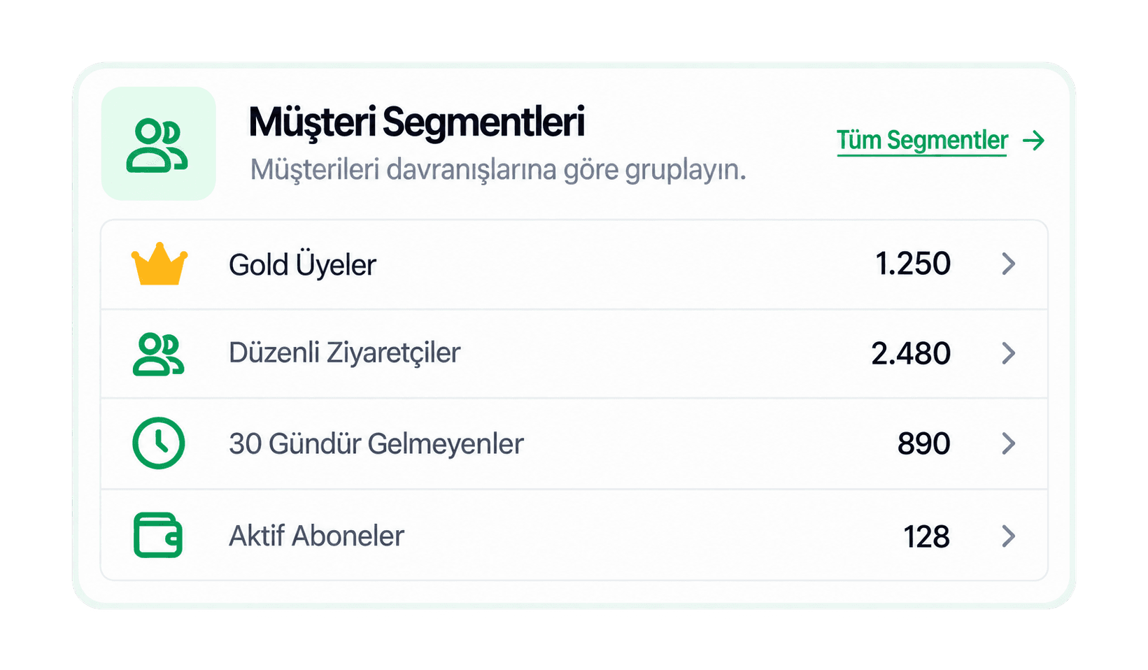 LoopIn müşteri segmentleri ekranı